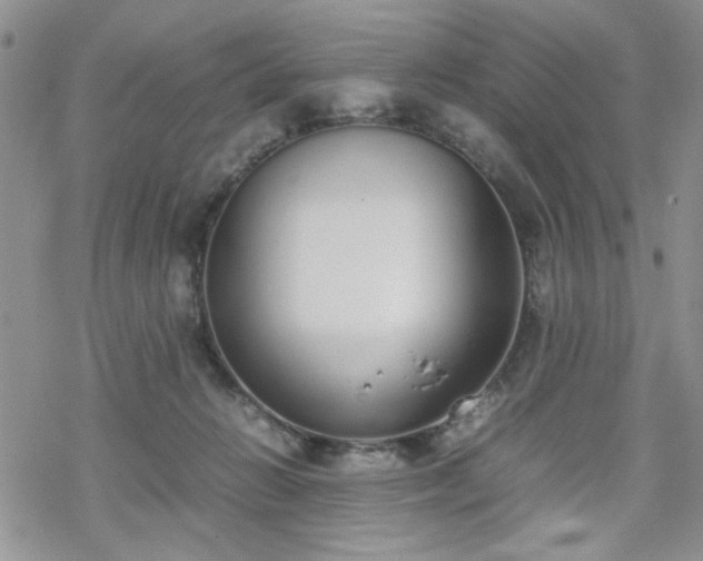 X0000070380270200606121300