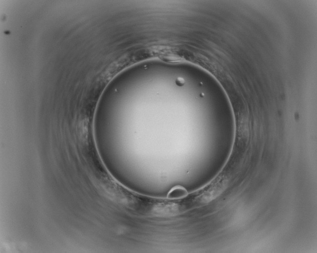 X0000070380271200606121300