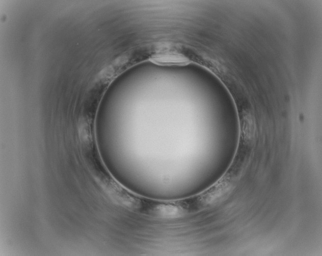 X0000070380272200606121300