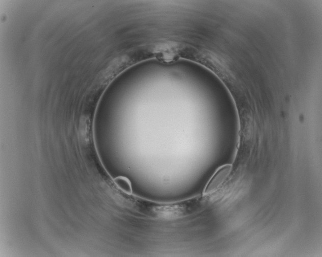 X0000070380273200606121300