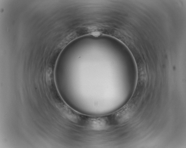 X0000070380275200606121300