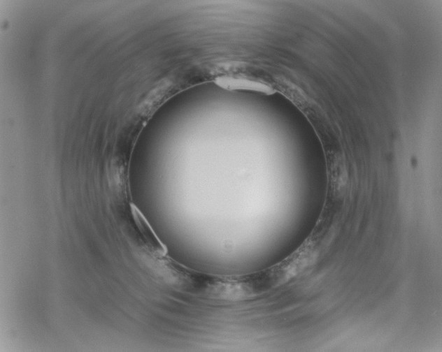 X0000070380276200606121300