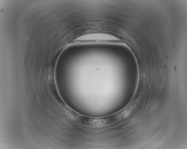 X0000070380277200606121300