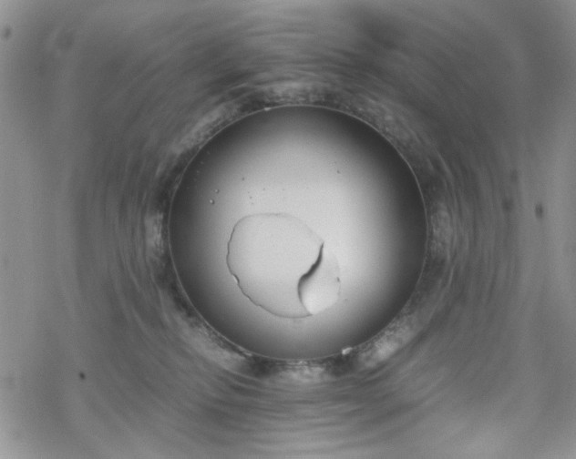 X0000070380278200606121300