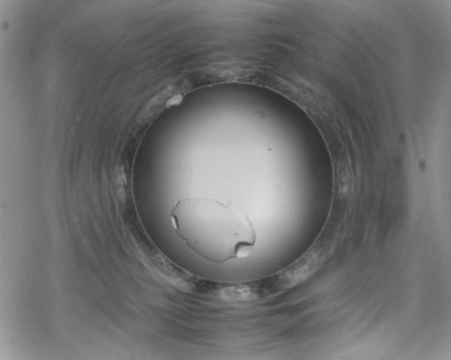 X0000070380279200606121300