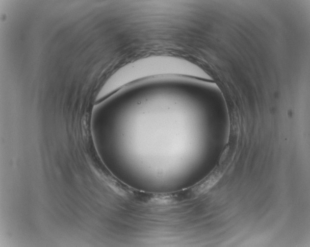 X0000070380280200606121300