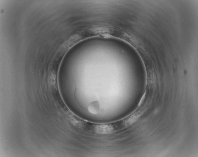 X0000070380281200606121300