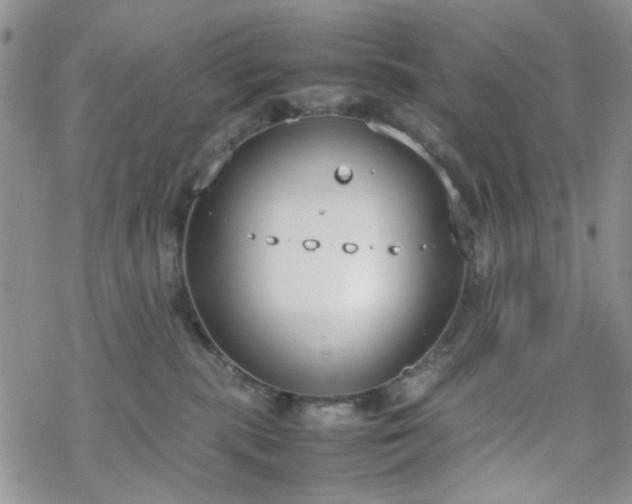 X0000070380283200606121300