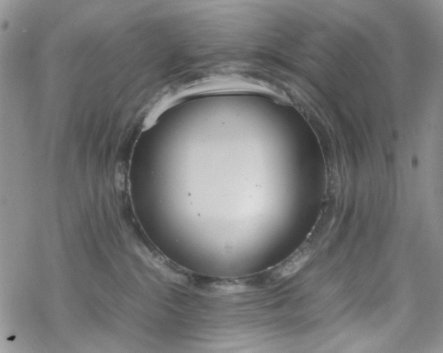 X0000070380284200606121300