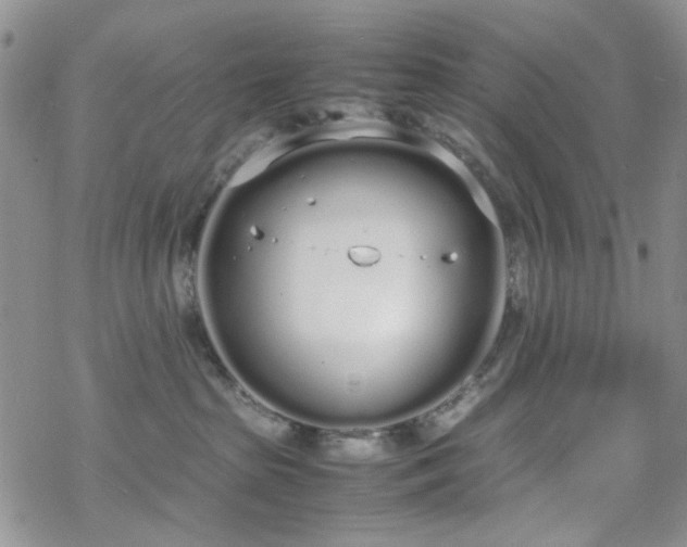 X0000070380285200606121300