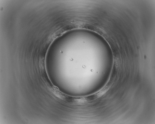 X0000070380286200606121300