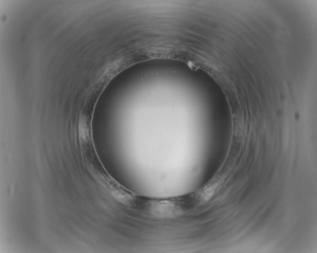 X0000070380287200606121300