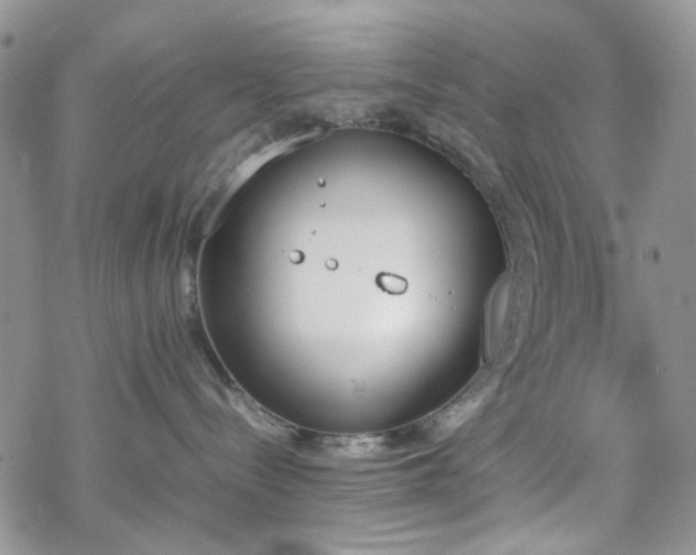 X0000070380288200606121300