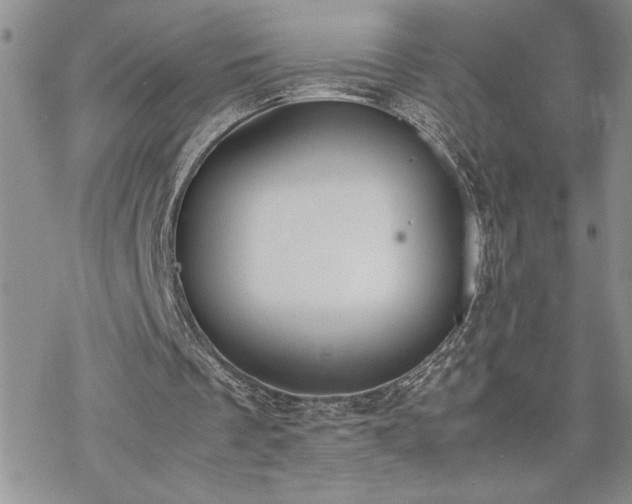 X0000070380289200606121259