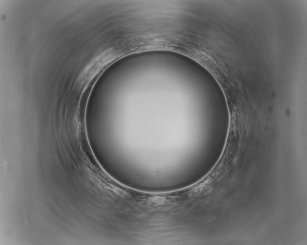 X0000070380290200606121259