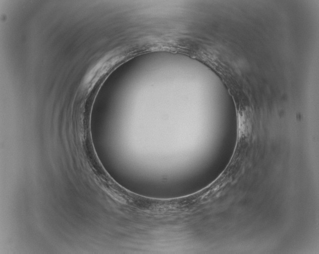 X0000070380291200606121259