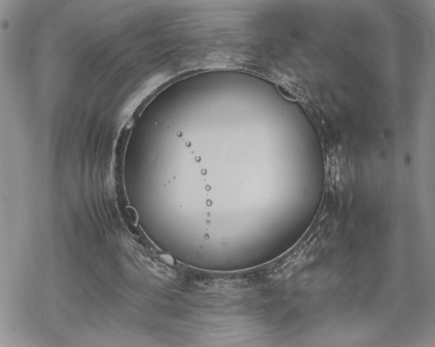 X0000070380292200606121259