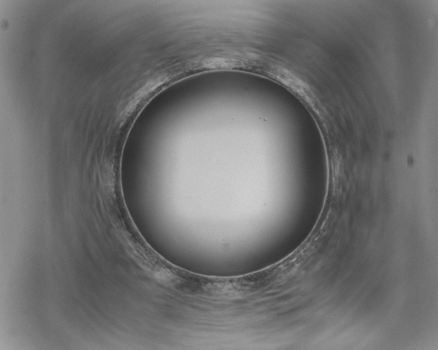 X0000070380297200606121259