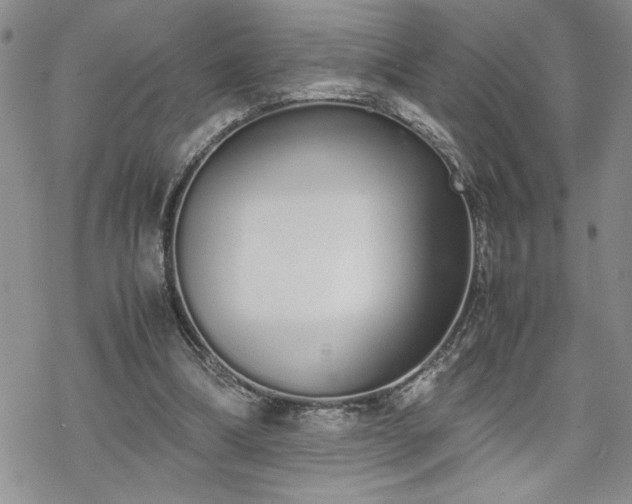 X0000070380298200606121259