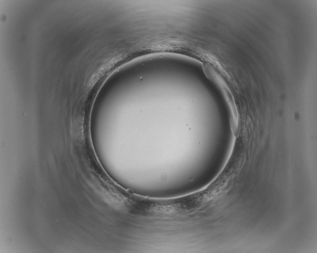 X0000070380299200606121259