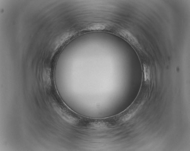 X0000070380300200606121259