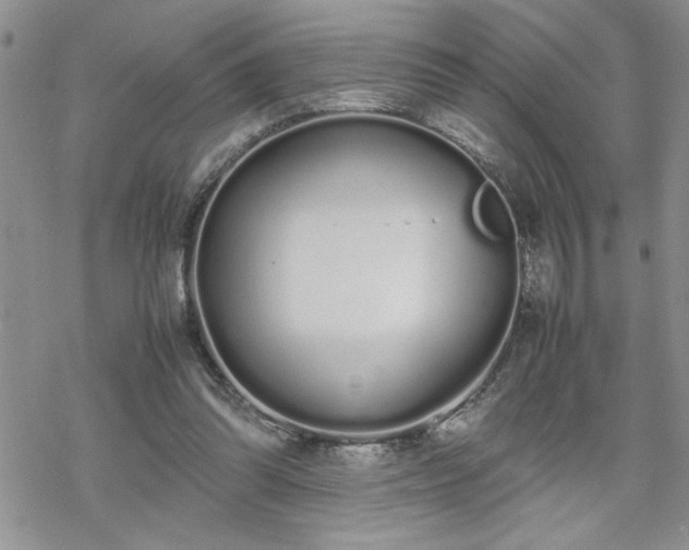 X0000070380302200606121259