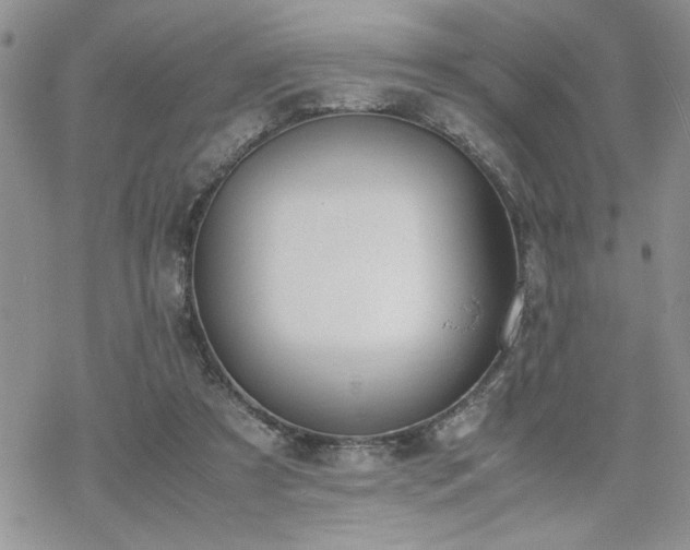 X0000070380305200606121259