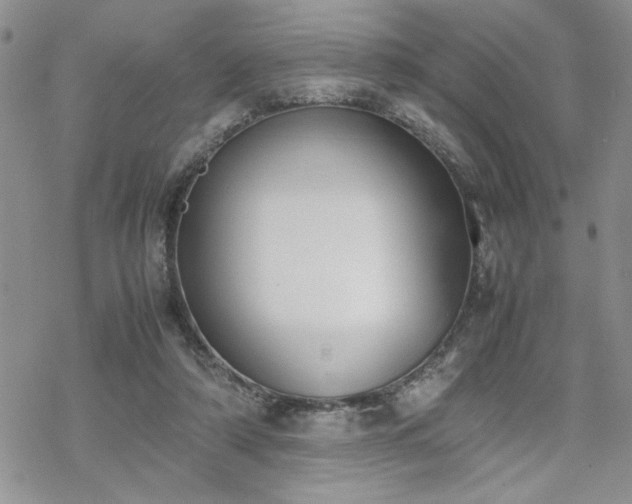 X0000070380306200606121259