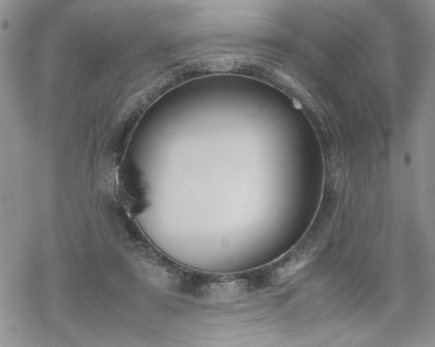 X0000070380307200606121259