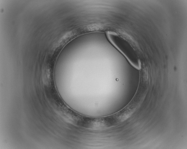 X0000070380308200606121259