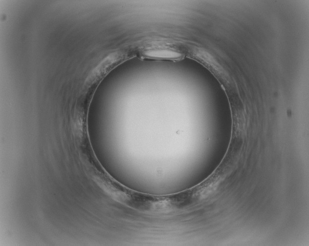 X0000070380309200606121259