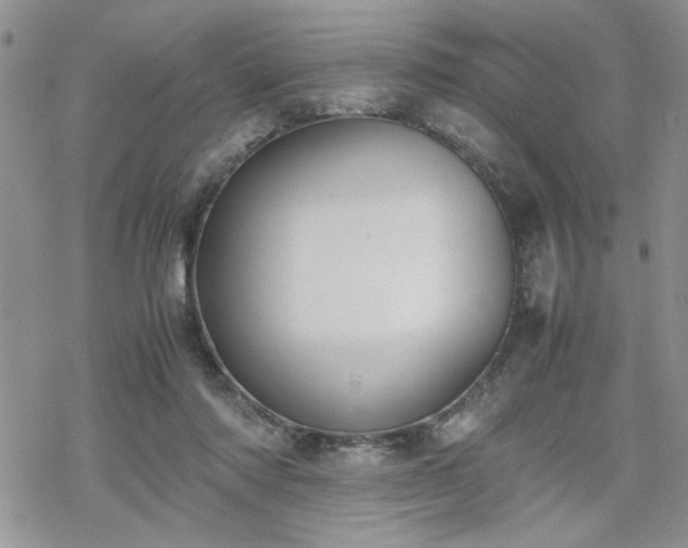 X0000070380310200606121259