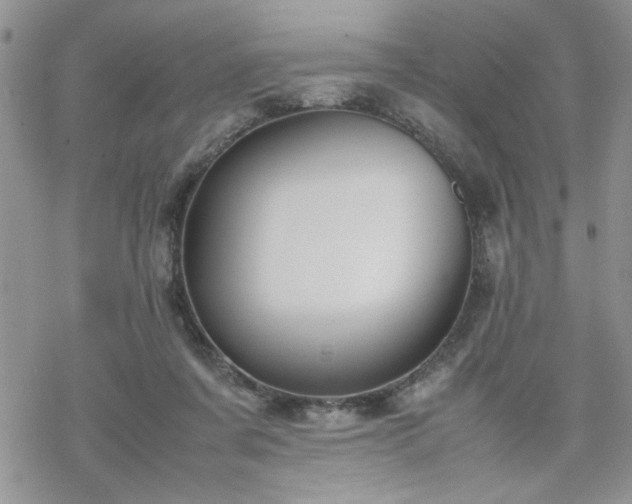 X0000070380311200606121259