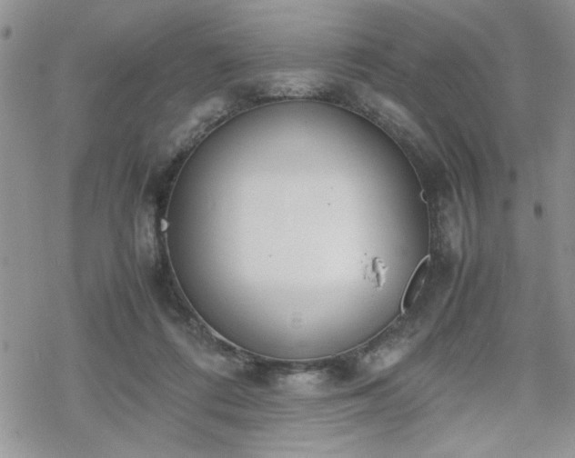 X0000070380312200606121259