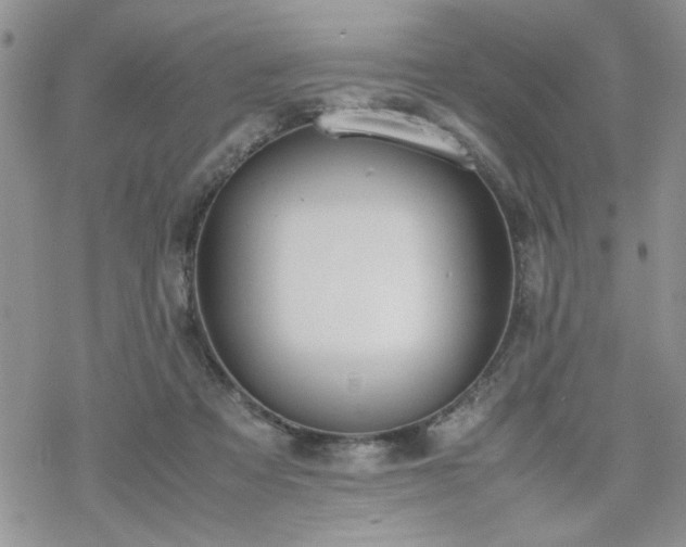 X0000070380313200606121259