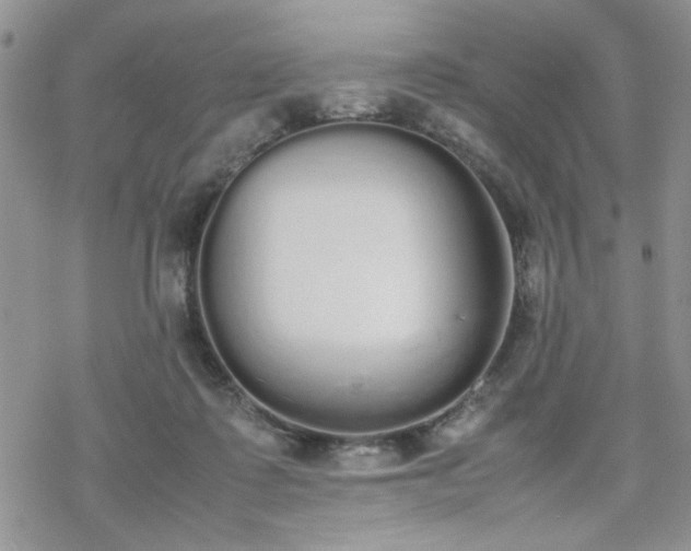 X0000070380315200606121259