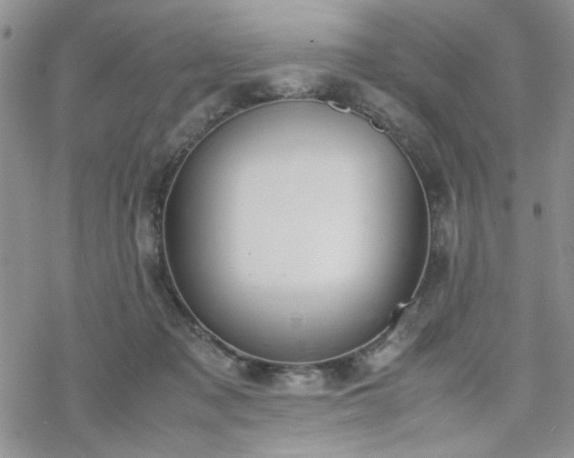 X0000070380317200606121259