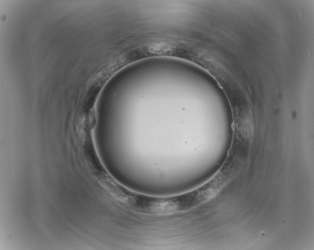 X0000070380319200606121259