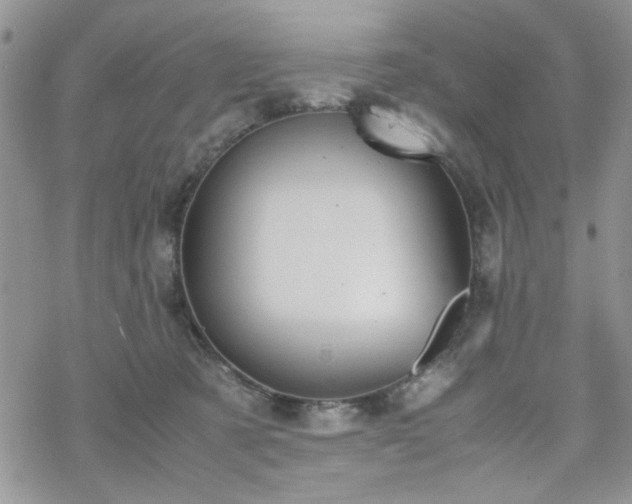 X0000070380321200606121259