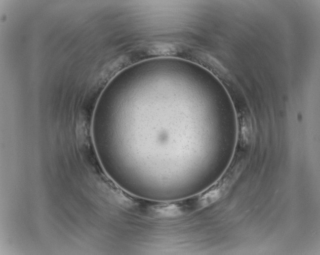 X0000070380322200606121259