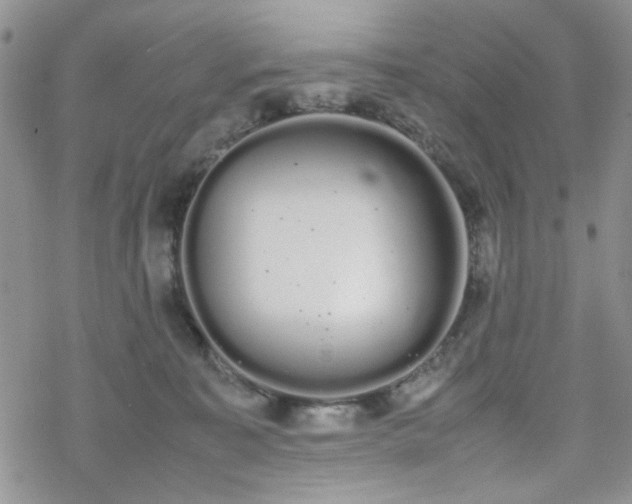 X0000070380323200606121259