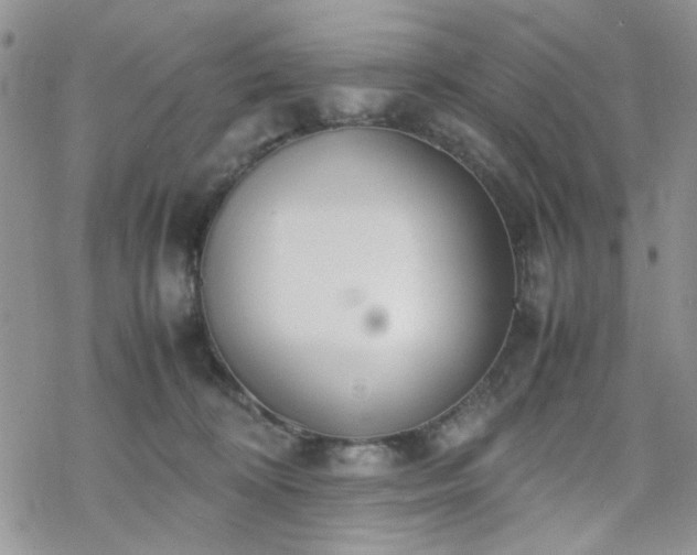 X0000070380324200606121259