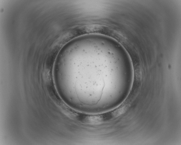 X0000070380327200606121259