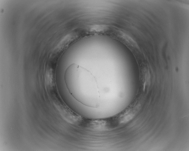 X0000070380328200606121259