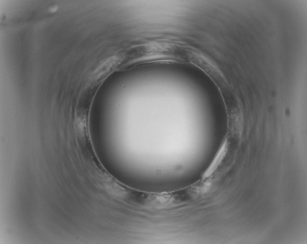 X0000070380329200606121259