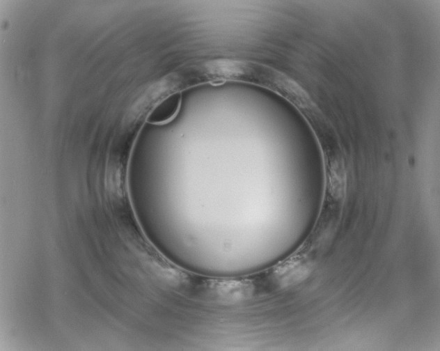 X0000070380330200606121259