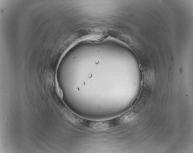 X0000070380331200606121259