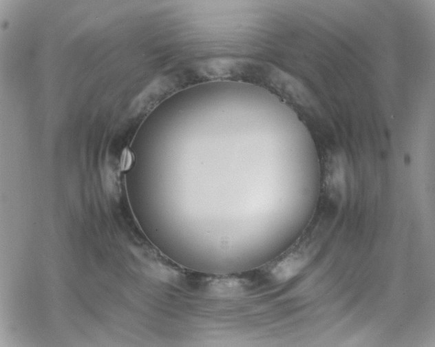 X0000070380332200606121259