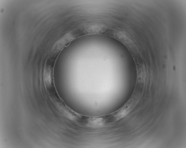 X0000070380334200606121259