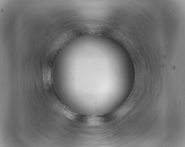 X0000070380336200606121259